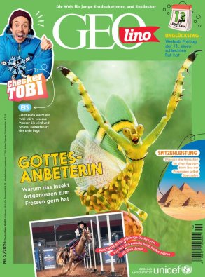 GEOLINO