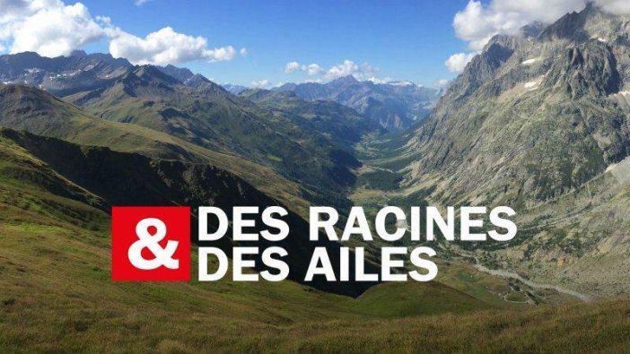 France 3